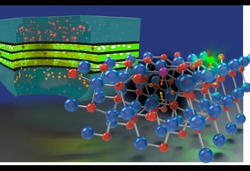 chris van de walle press release image