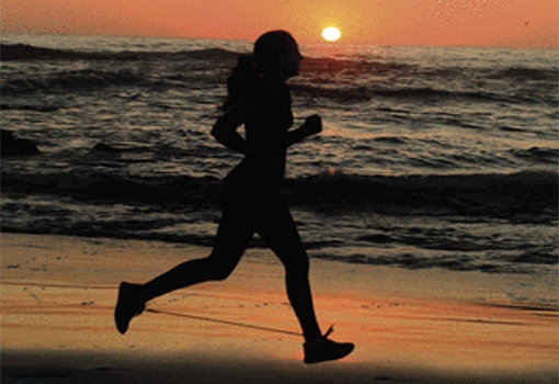 A jogger runs on the beach on the cover of the Journal of Experimental Biology.