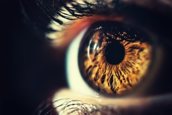 The human eye