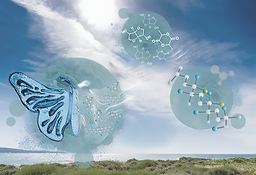 Artist's concept illustration depicts the transformation resulting from using bio-based micro-organisms as the building blocks for better polymers.