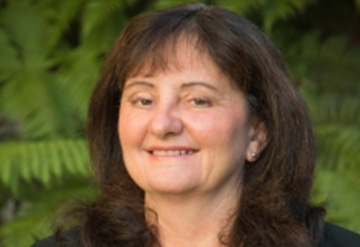 Materials professor Tresa Pollock received the 2024 William D. Nix Award from her TMS peers.