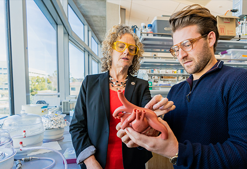 Image of bioengineering professor Beth Pruitt speaking with PhD student Orlando Chirikian in her lab.