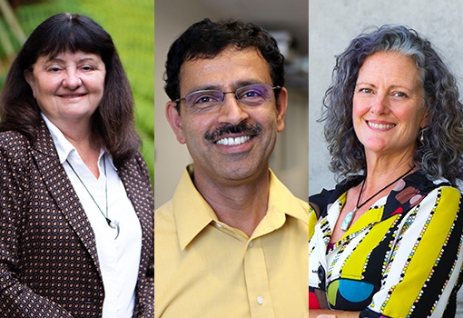 Image of (from left) Tresa Pollock, B. S. Manjunath, and Beth Pruitt.