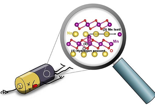 llustration depicting hydrogen-induced degradation of a sodium-ion battery: (1) When hydrogen is present (circled in black), (2) an Mn atom (purple) can move from the MnO2 layer to the Na layer (yellow); (3) Mn can then move within the Na layer, and will be lost. Illustration by Hartwin Peelaers.