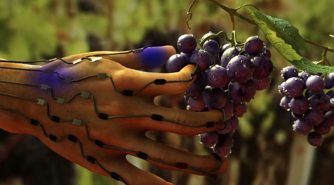 Artist's interpretation illustrating ultra-sensitive sensors that may find use in advanced robotics and prosthetics