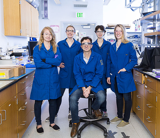 Professor Michael Chabinyc and his lab group